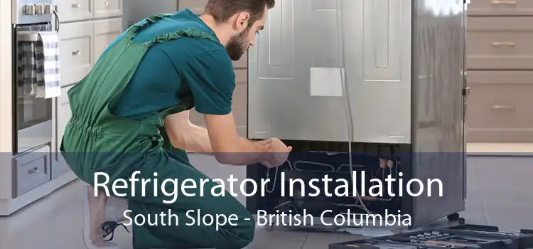 Refrigerator Installation South Slope - British Columbia