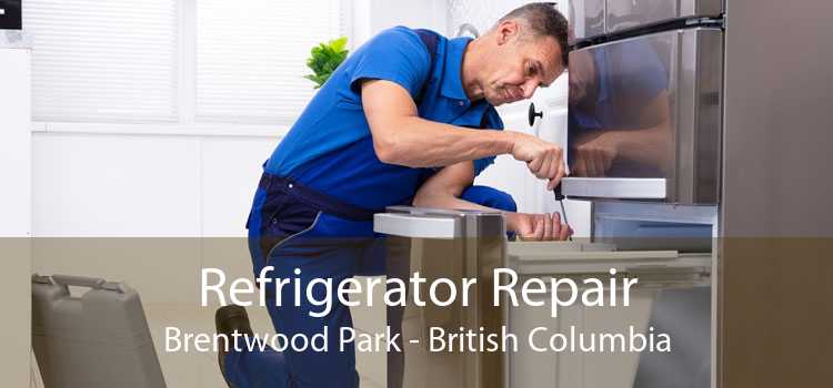 Refrigerator Repair Brentwood Park - British Columbia