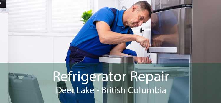 Refrigerator Repair Deer Lake - British Columbia