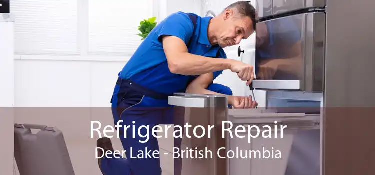 Refrigerator Repair Deer Lake - British Columbia