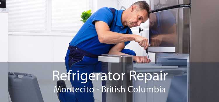 Refrigerator Repair Montecito - British Columbia