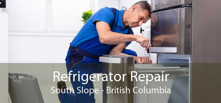 Refrigerator Repair South Slope - British Columbia