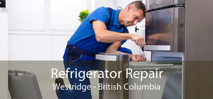 Refrigerator Repair Westridge - British Columbia