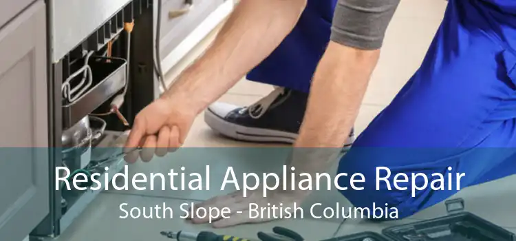 Residential Appliance Repair South Slope - British Columbia