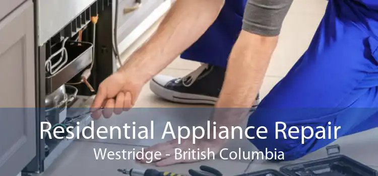 Residential Appliance Repair Westridge - British Columbia