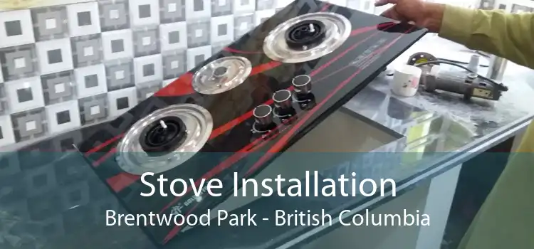 Stove Installation Brentwood Park - British Columbia