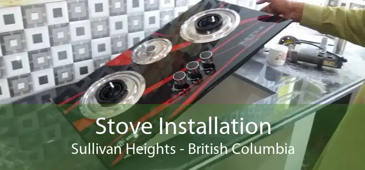 Stove Installation Sullivan Heights - British Columbia