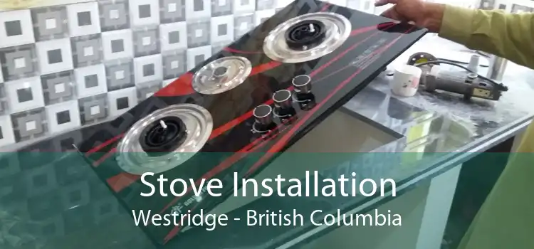Stove Installation Westridge - British Columbia