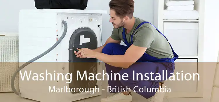 Washing Machine Installation Marlborough - British Columbia