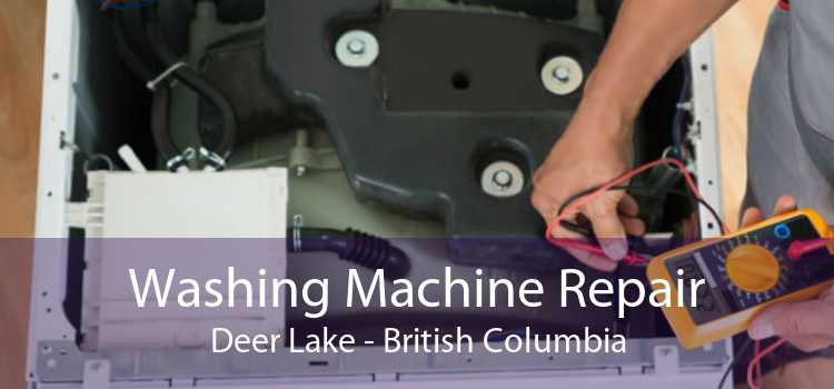 Washing Machine Repair Deer Lake - British Columbia