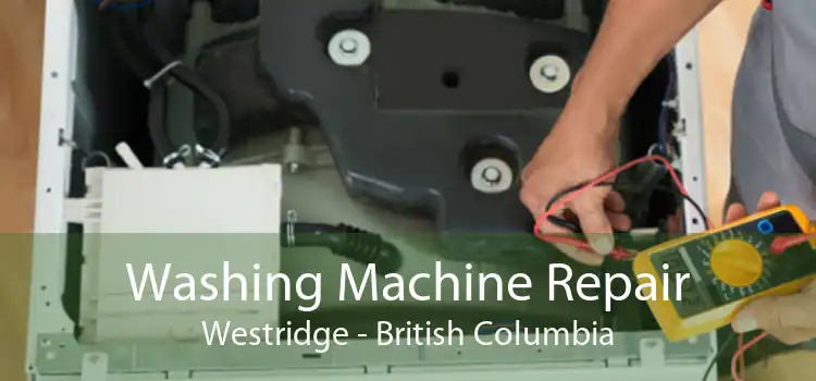 Washing Machine Repair Westridge - British Columbia